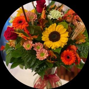 Meet your Posher, Bernie